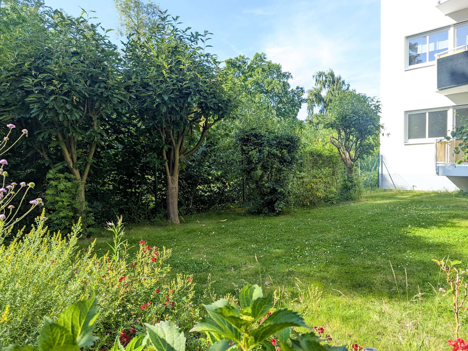 Grüne Wiese hinter dem Haus