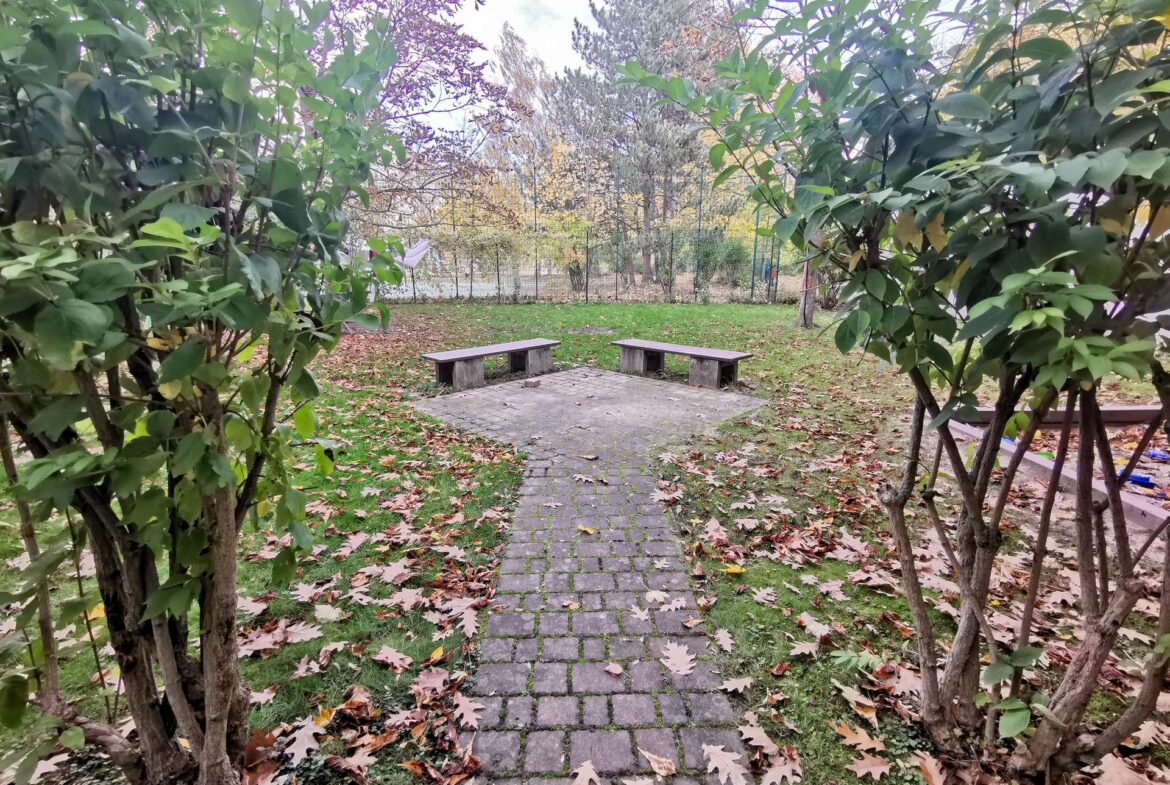 Großer grüner Hinterhof