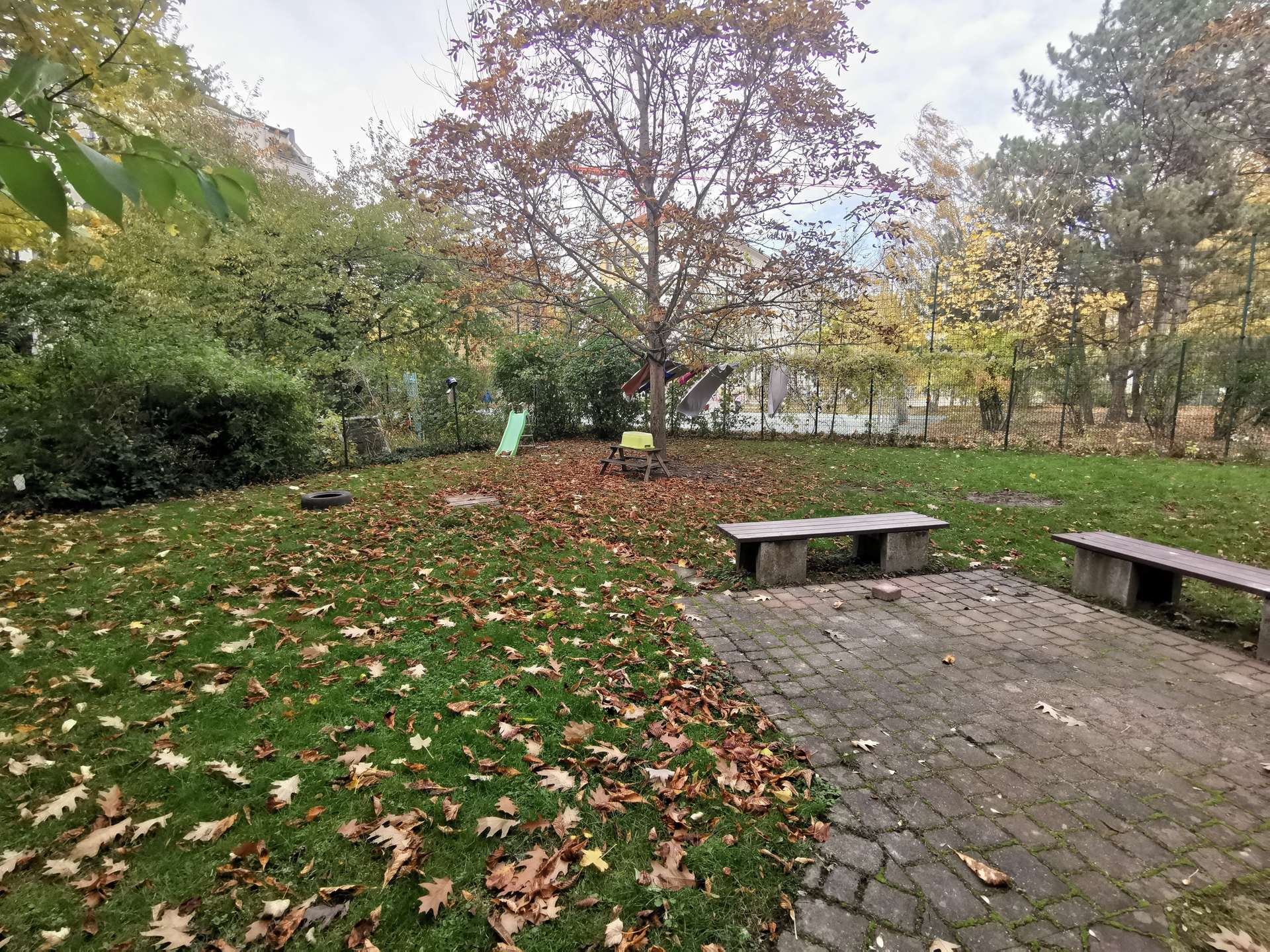 Großer grüner Hinterhof