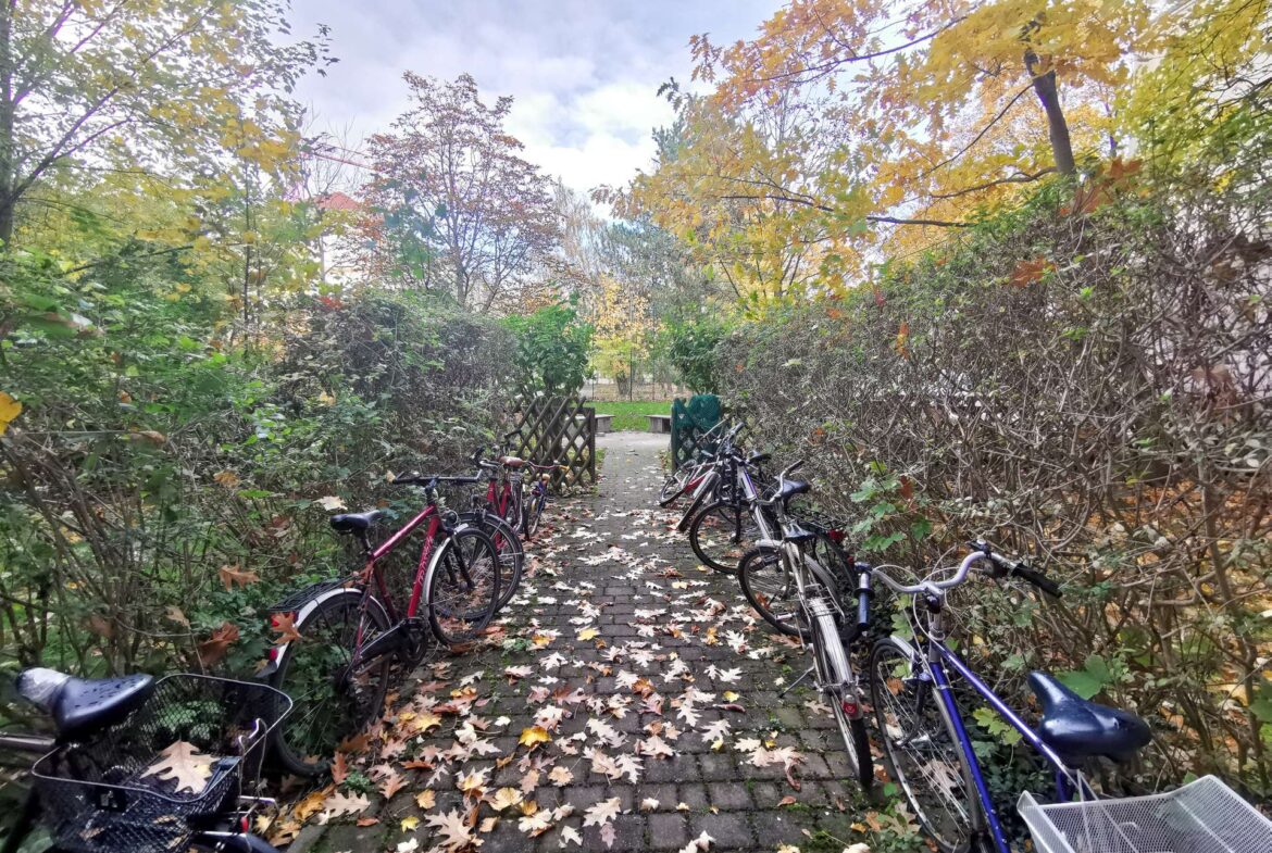 Großer grüner Hinterhof