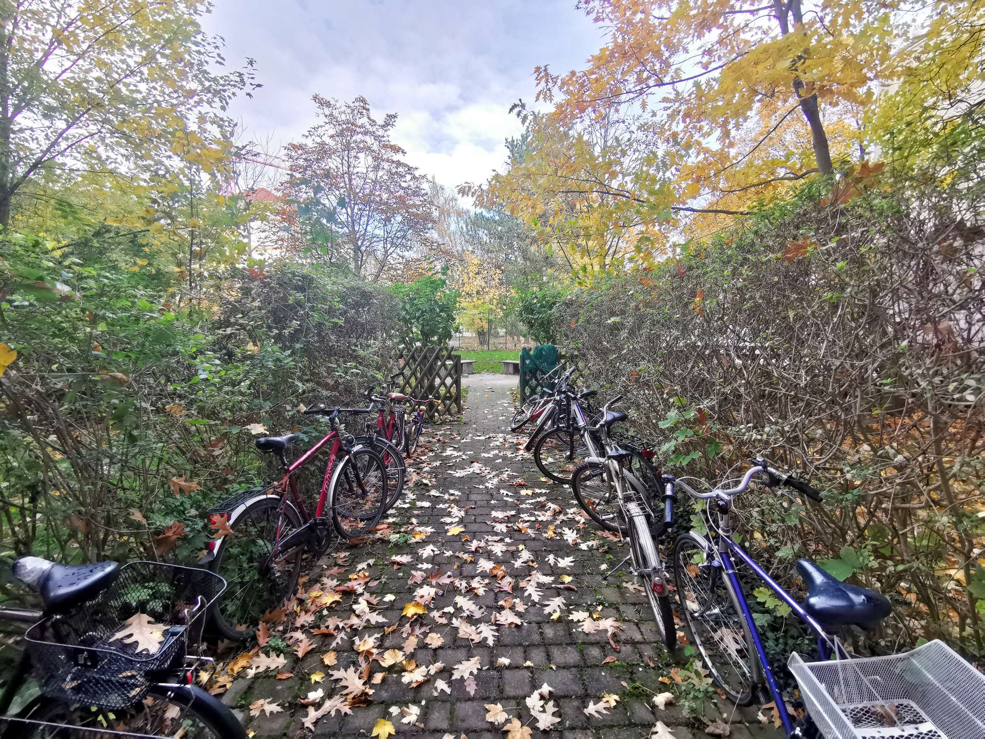 Großer grüner Hinterhof