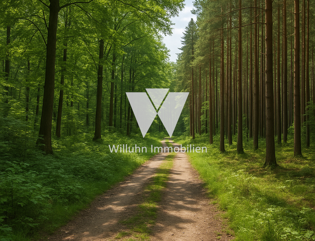 Referenzbild Waldweg