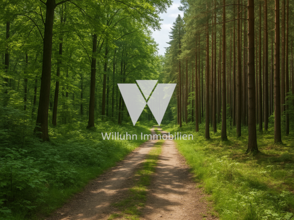 Referenzbild Waldweg