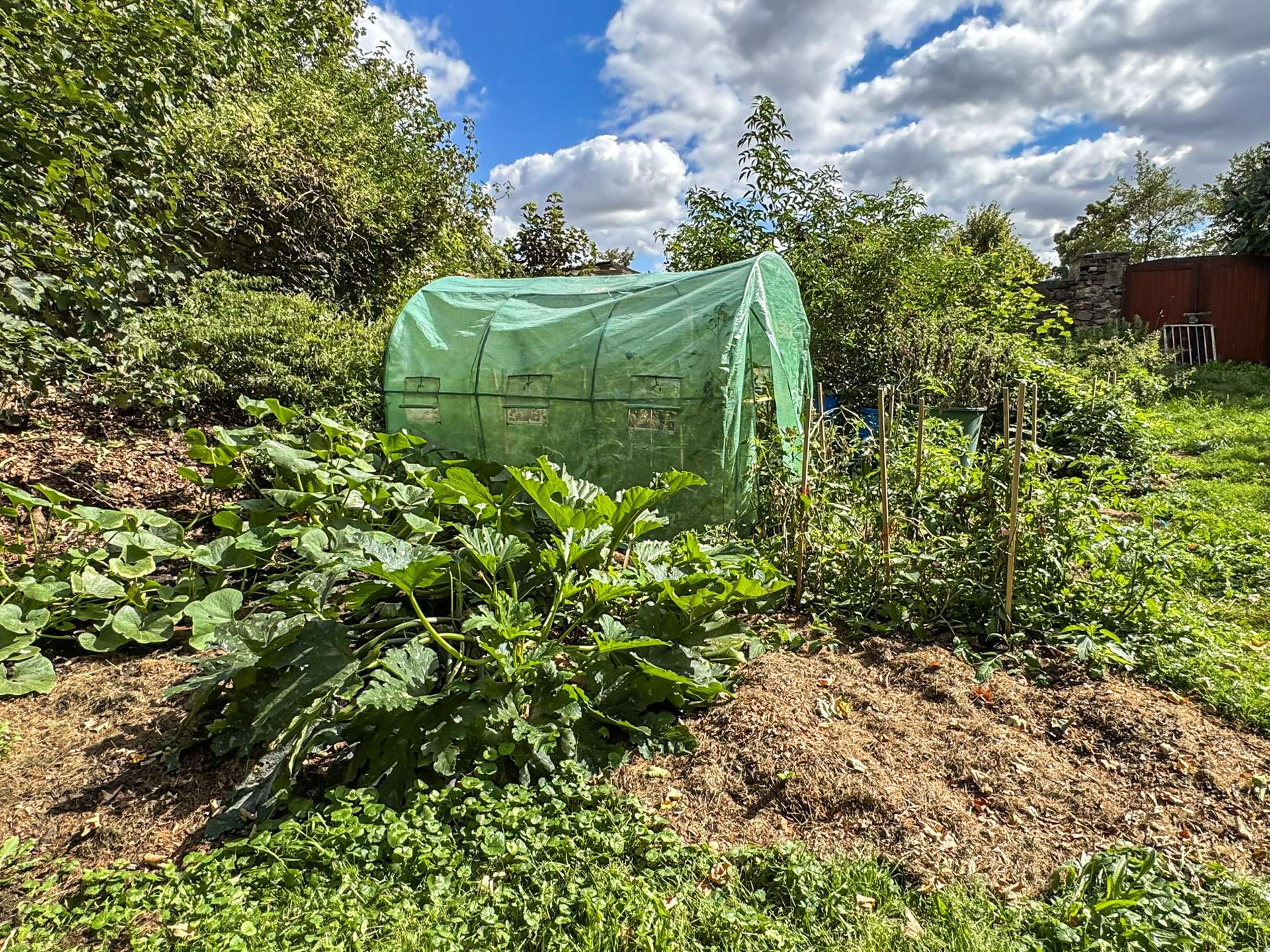 Fläche zur Selbstversorgung