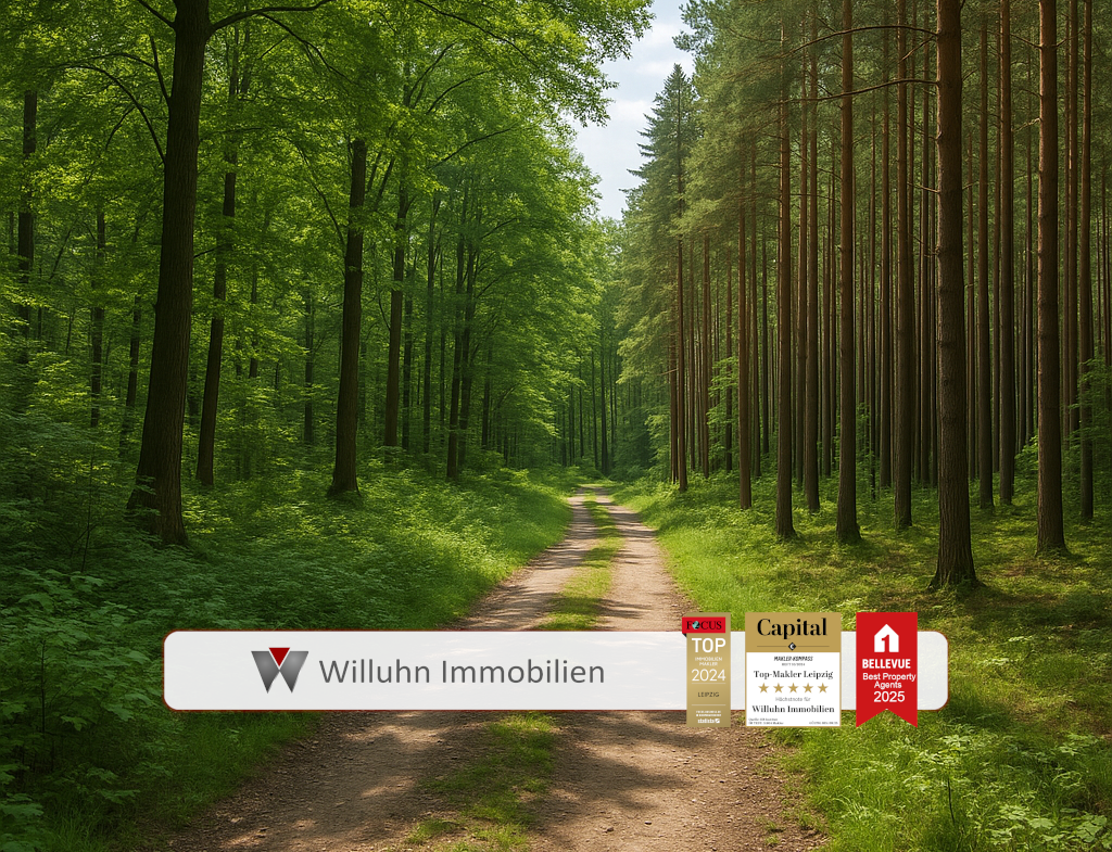 Referenzbild Waldweg