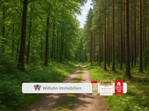 Referenzbild Waldweg