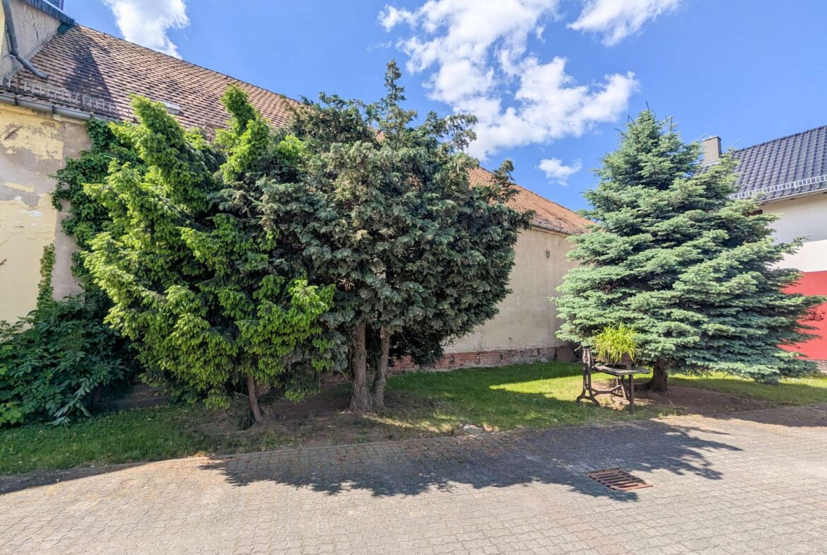 Scheune Straßenansicht