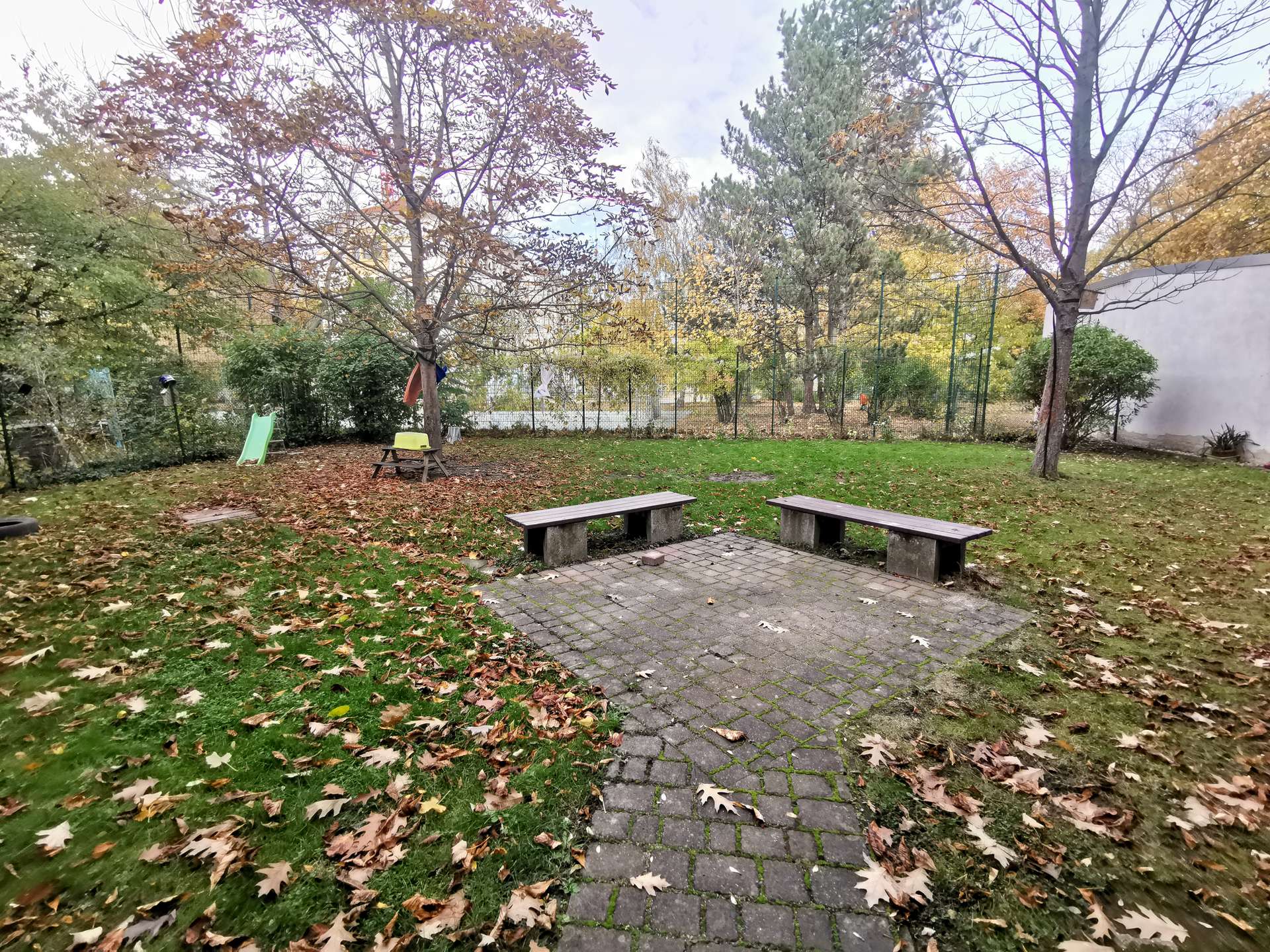 Großer grüner Hinterhof