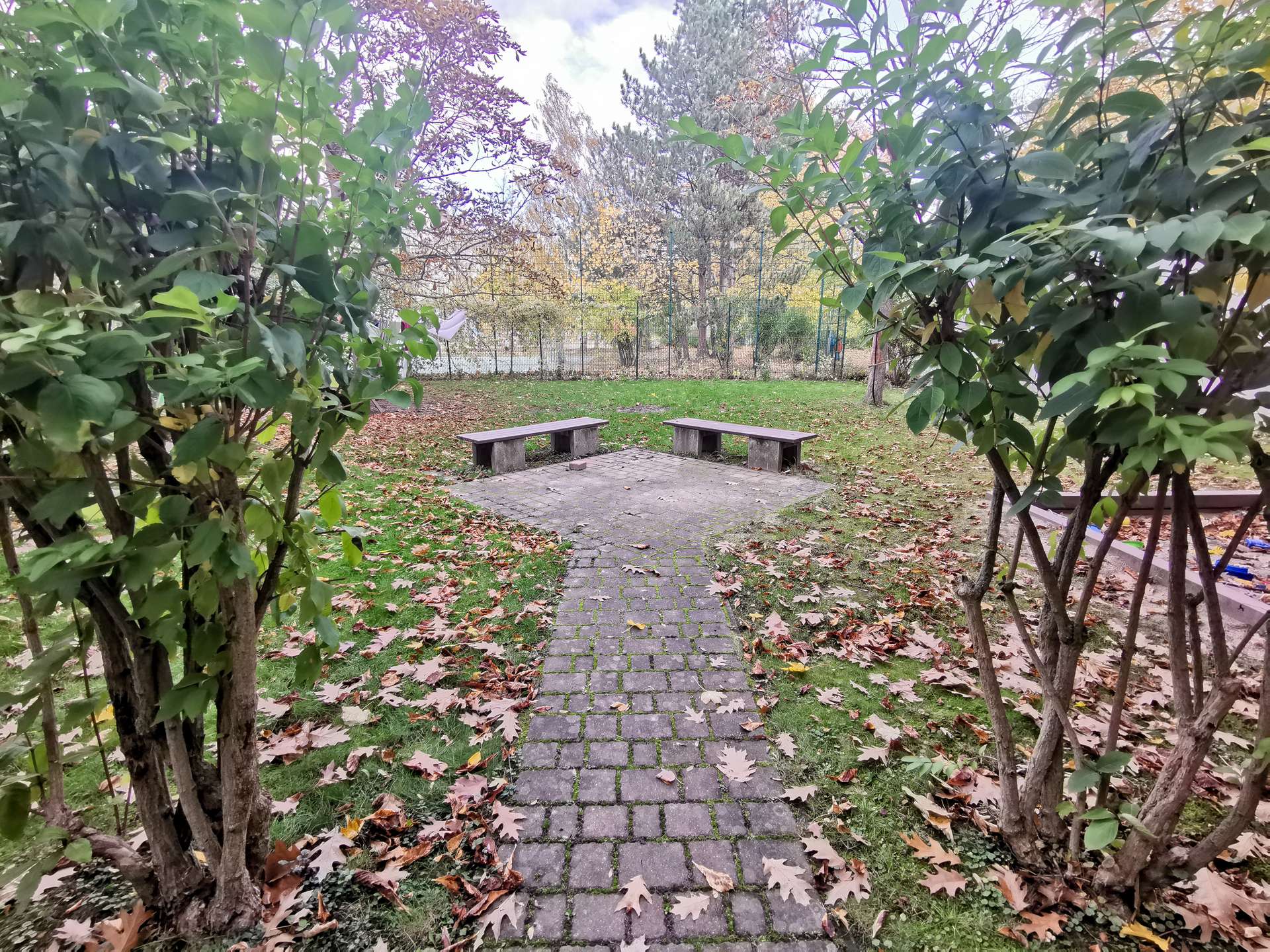 Großer grüner Hinterhof