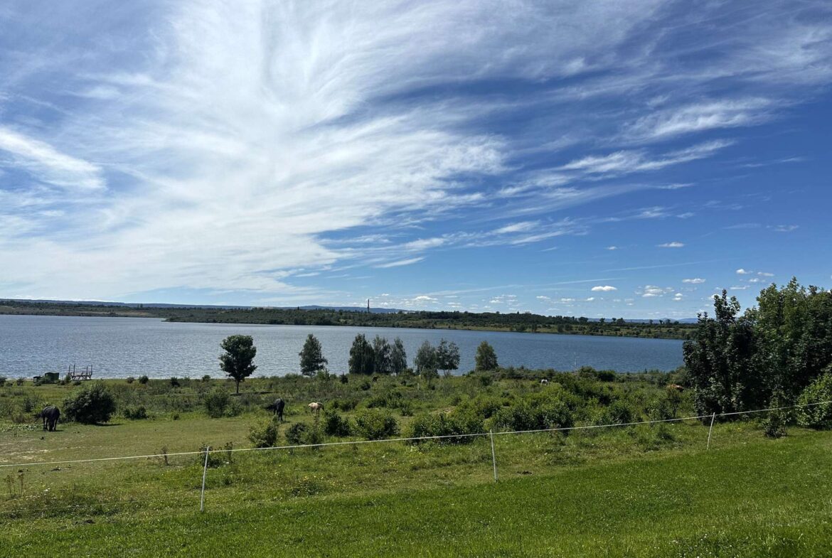 Concordia Badesee (5 Minuten fußläufig entfernt)