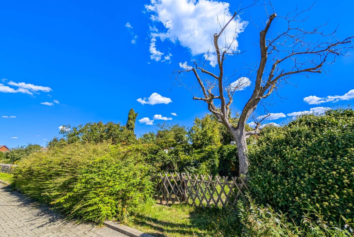 Garten gegenüber vom Haus