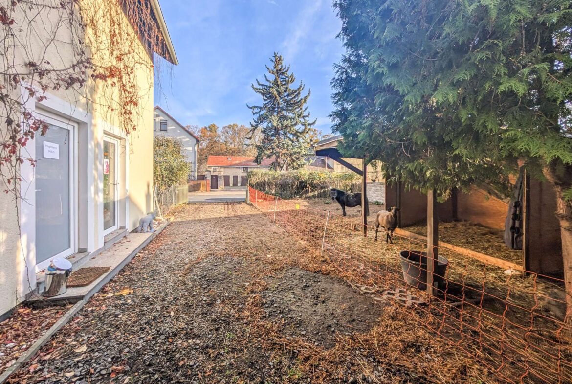 Blick vom Seitentor Ri. Straße