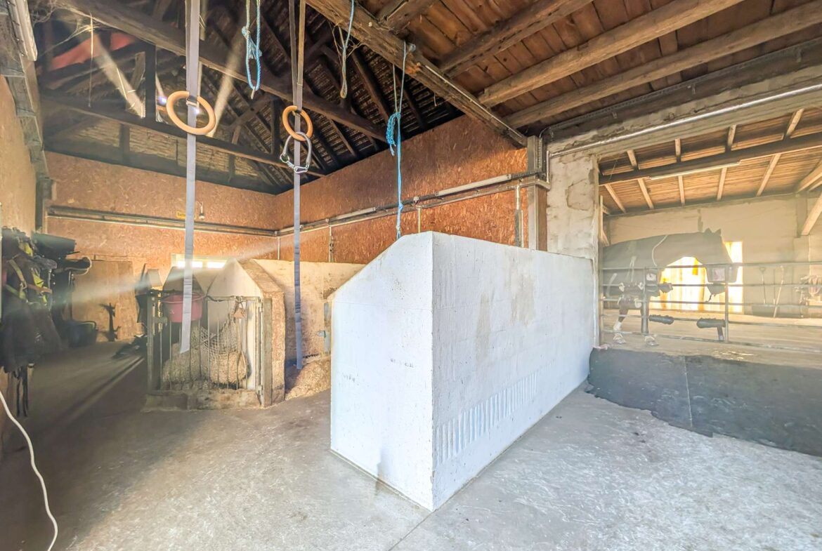 Futter- und Sattelkammer