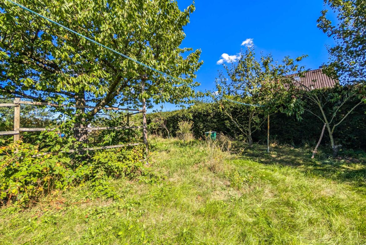 Obststräucher und -bäume