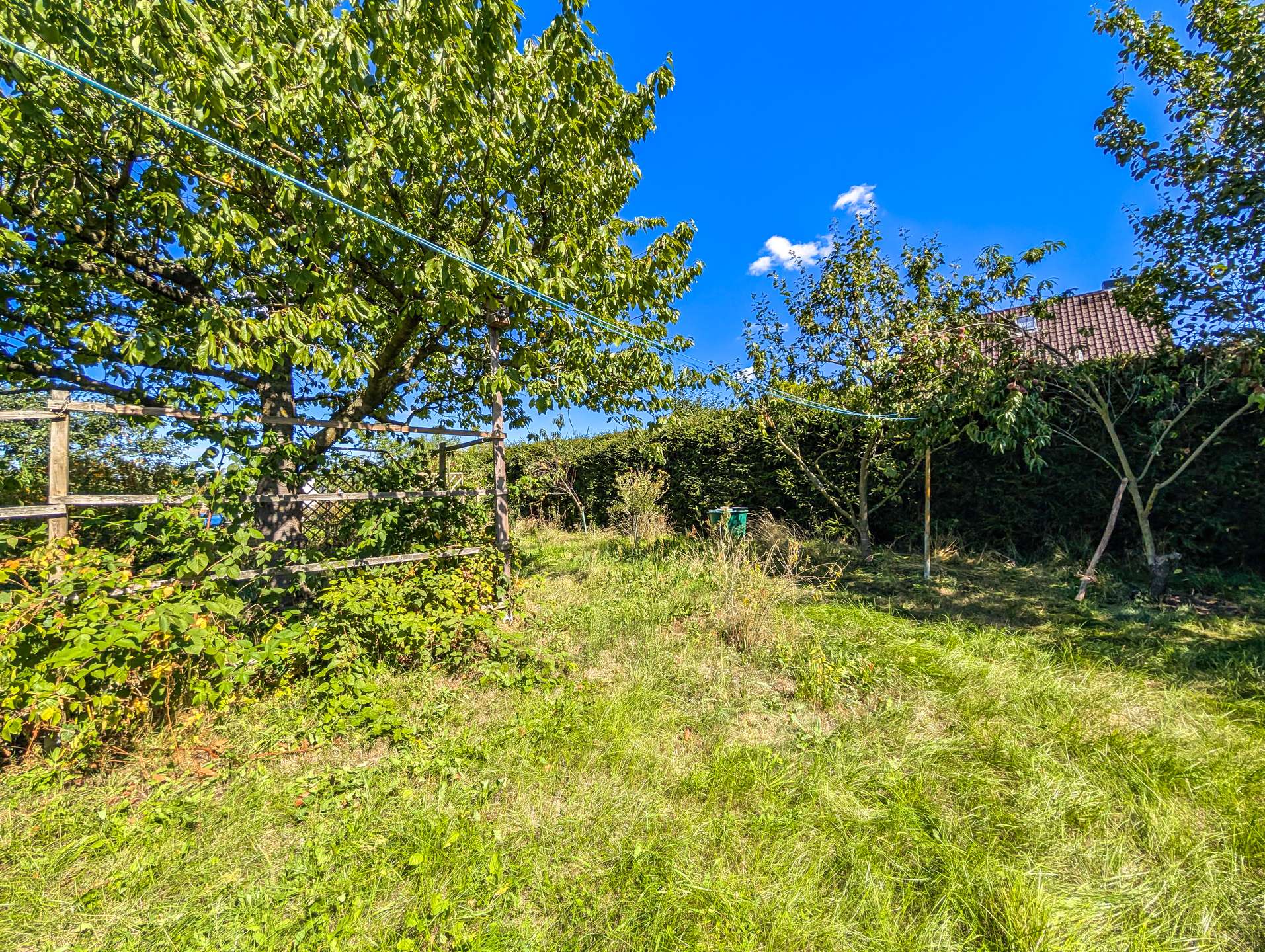 Obststräucher und -bäume