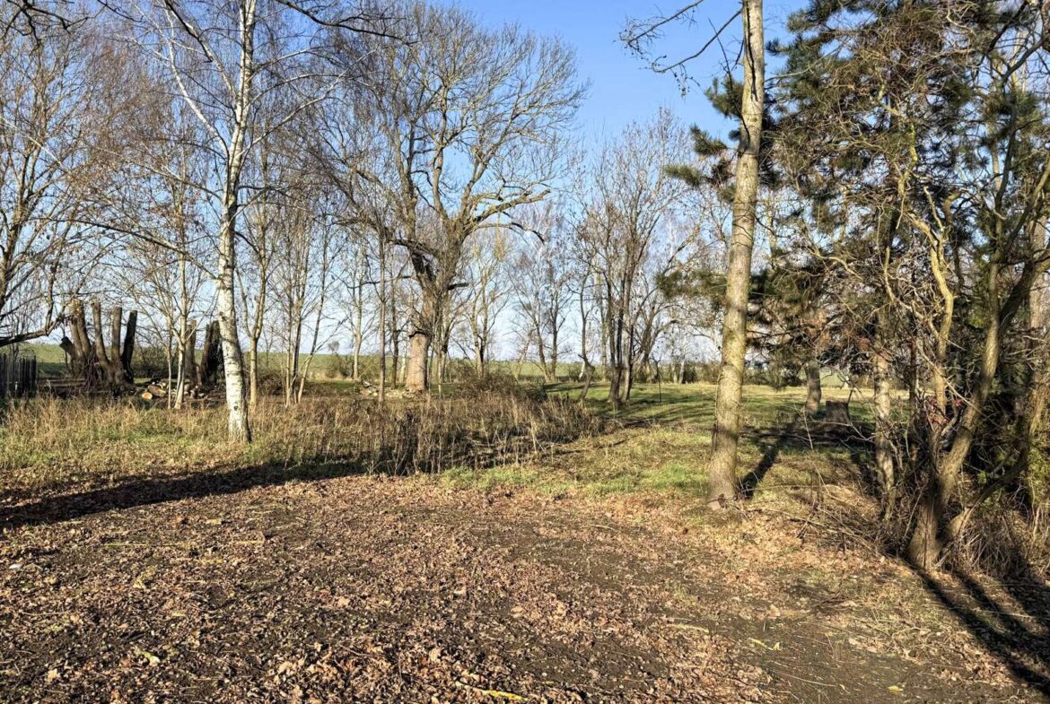 Grünfläche zum Wohlfühlen