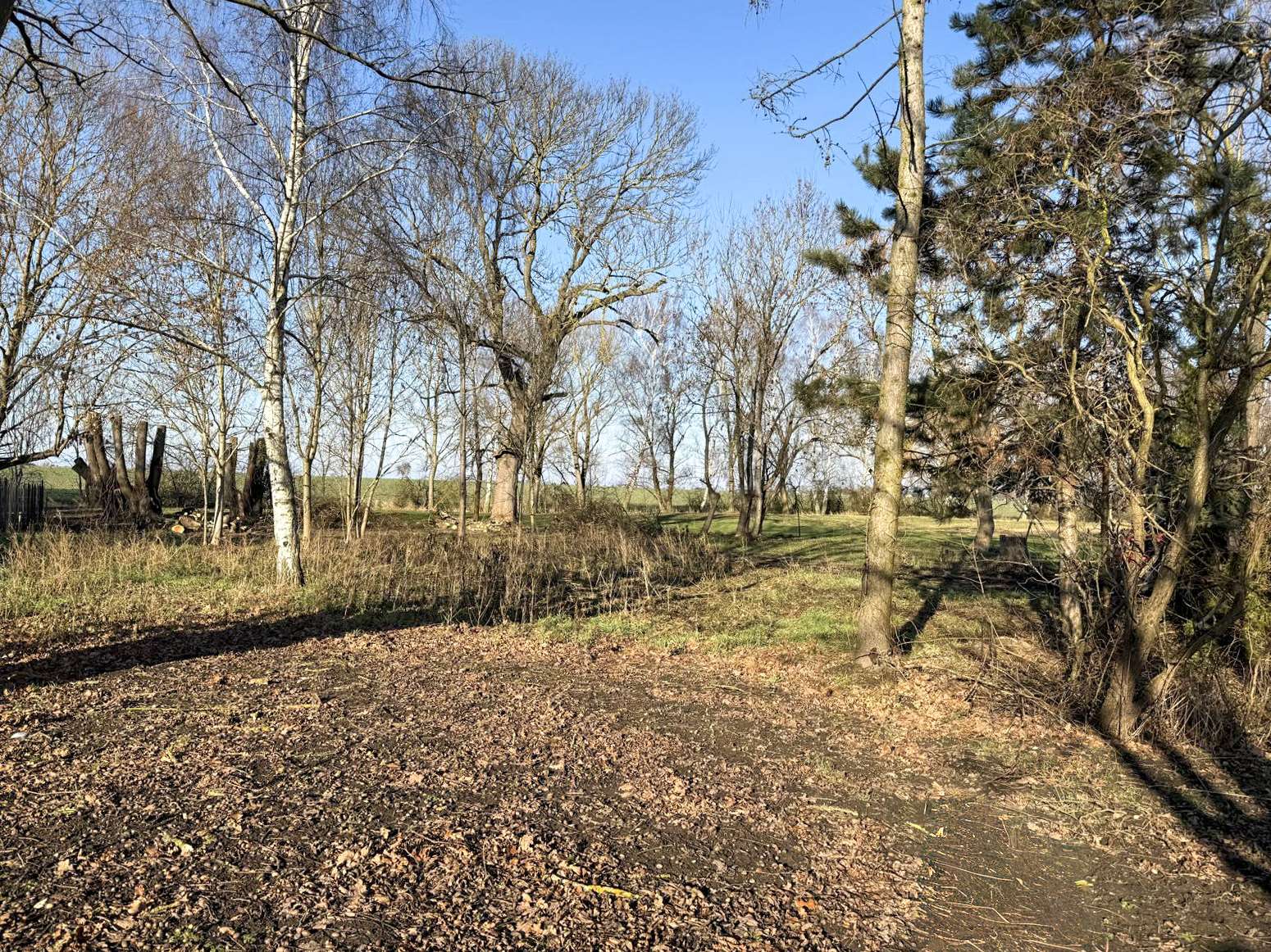 Grünfläche zum Wohlfühlen