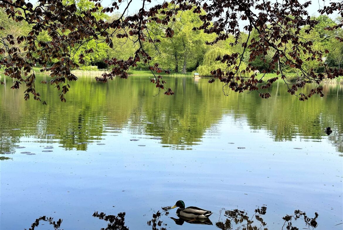 Arthur-Bretschneider-Park