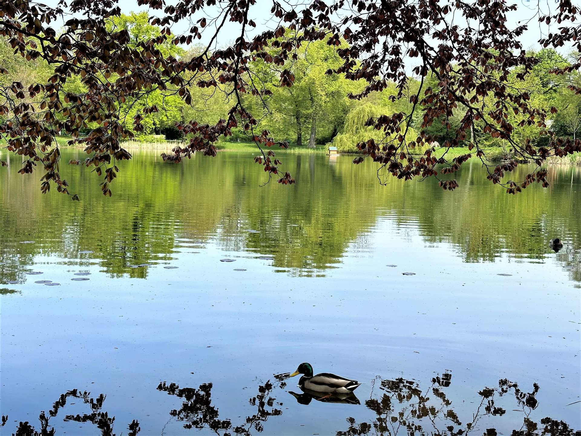 Arthur-Bretschneider-Park