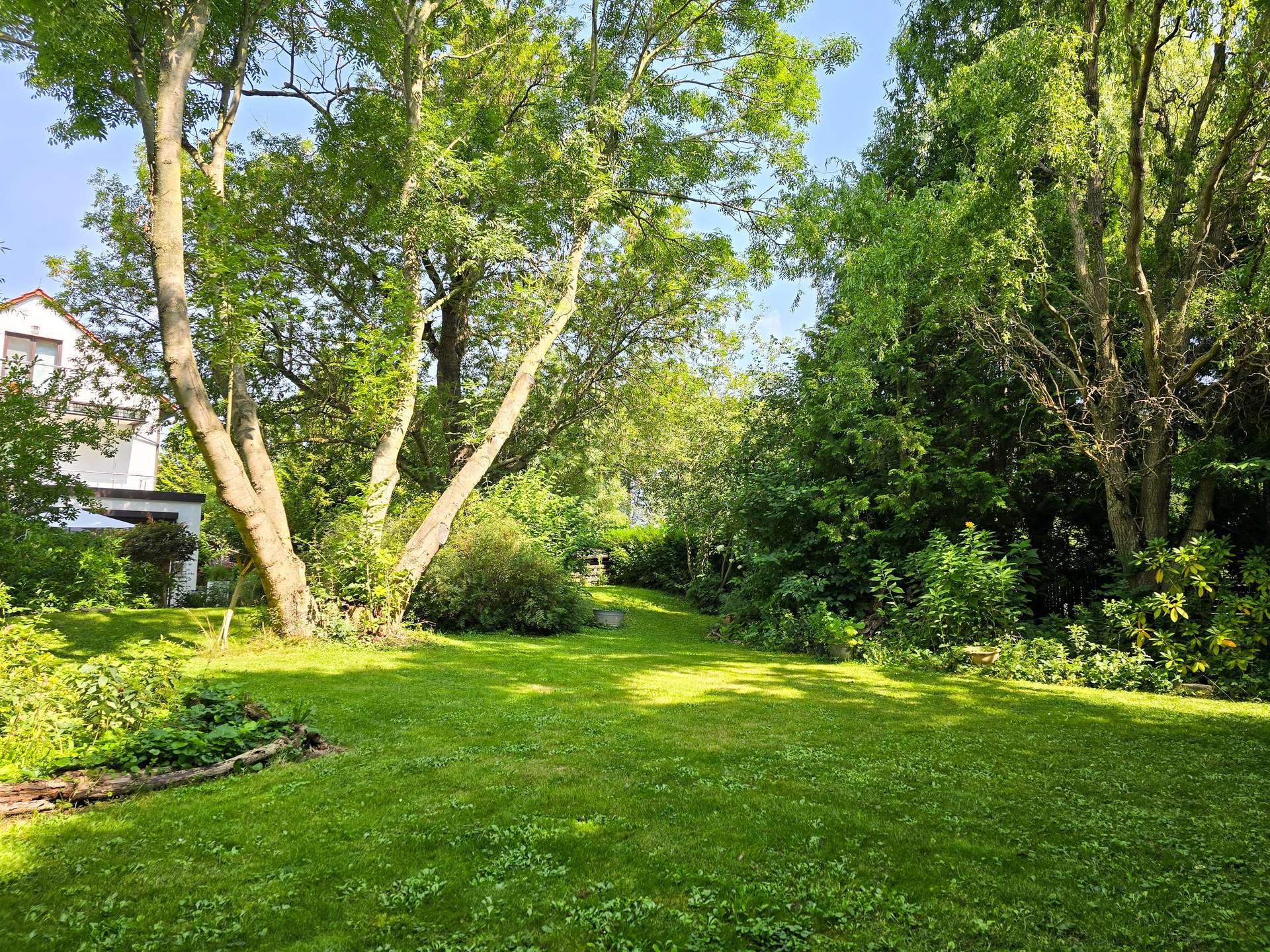 Ein Traum von Grundstück