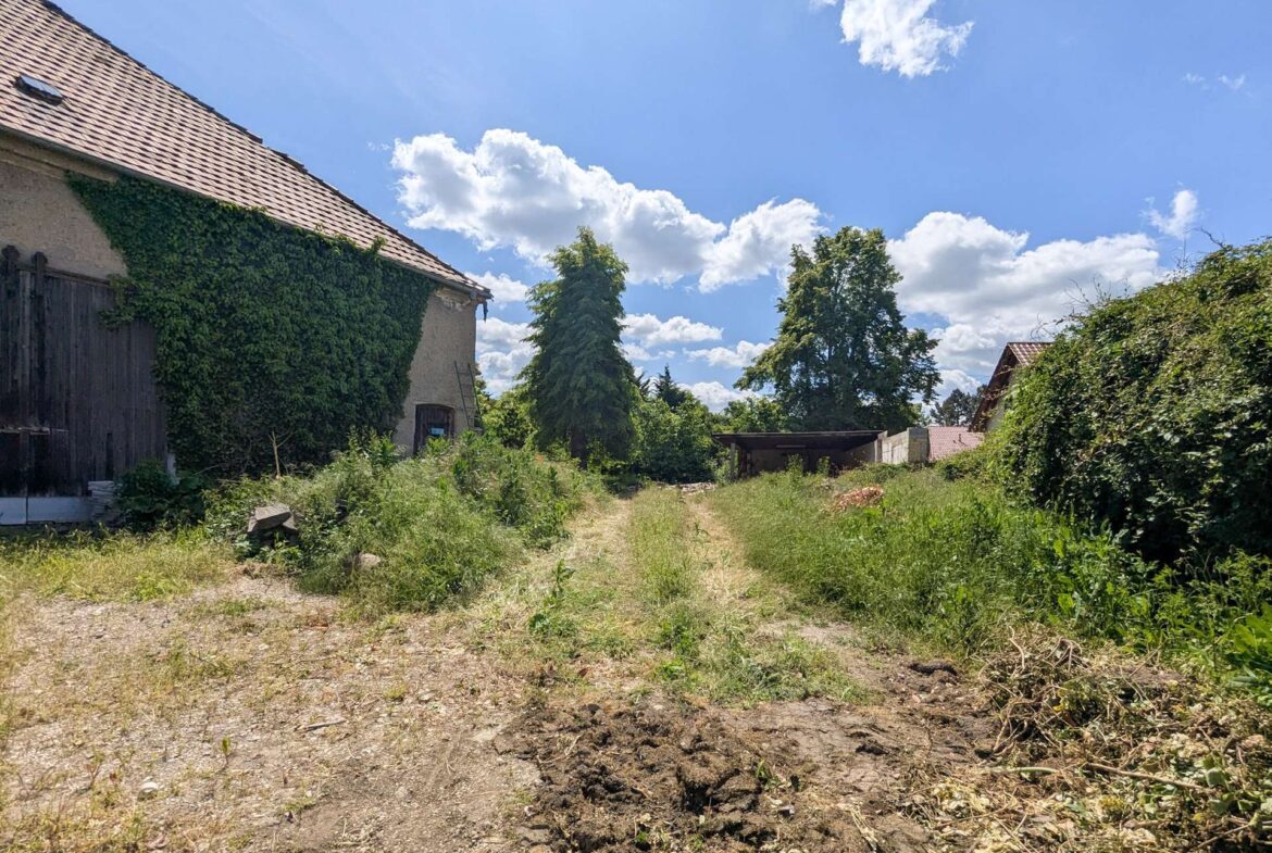 Blick über das Grundstück