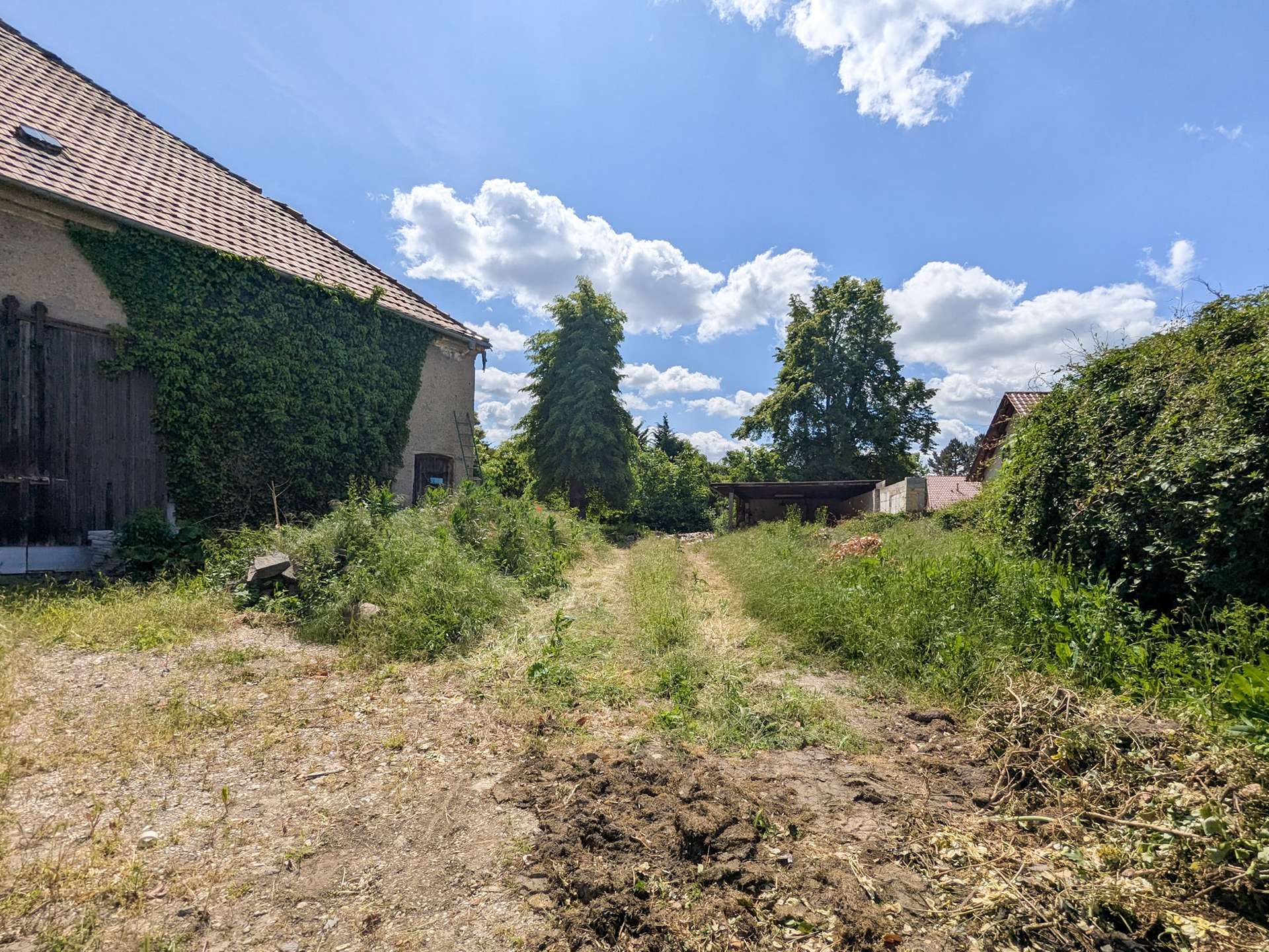 Blick über das Grundstück