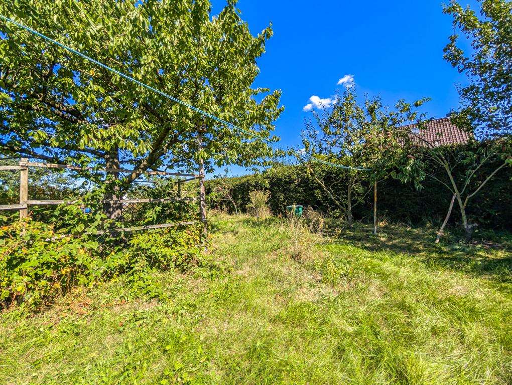 Obststräucher und -bäume