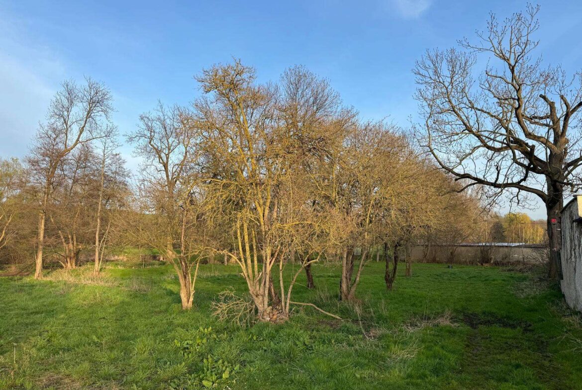 Hier könnte Ihr Zuhause sein