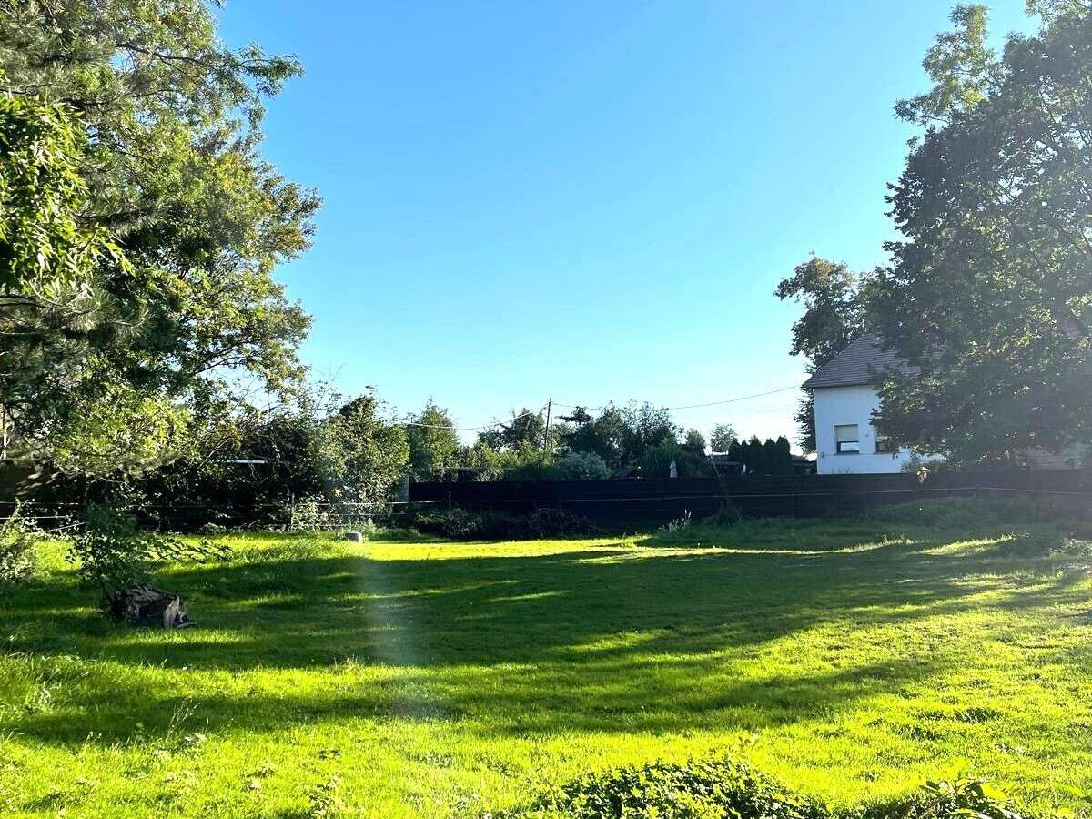 Große Naturschutzfläche