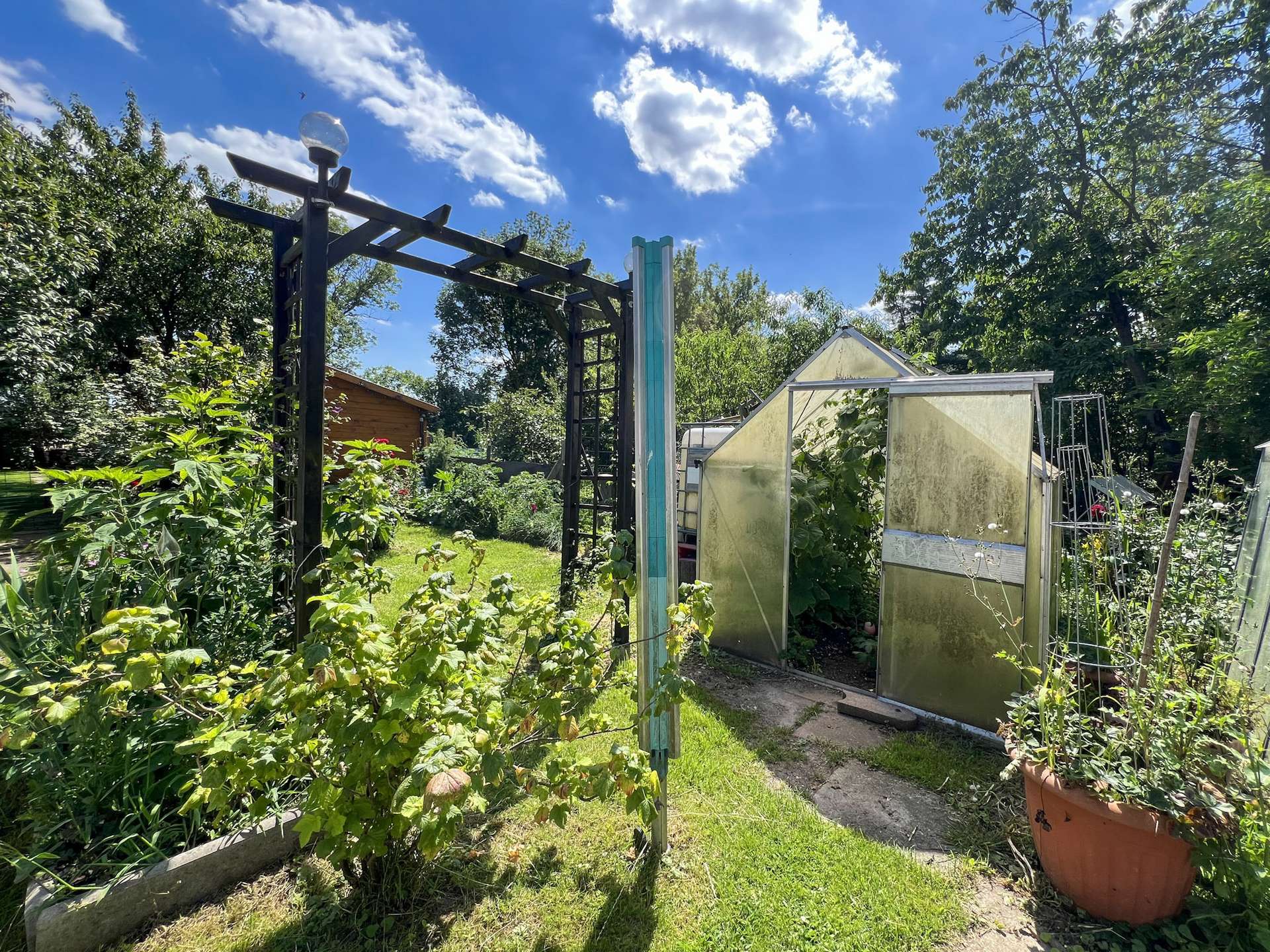 Hobbygärtner aufgepasst