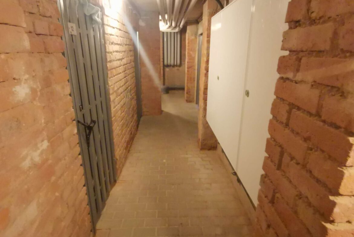 Aufgeräumter Kellerbereich