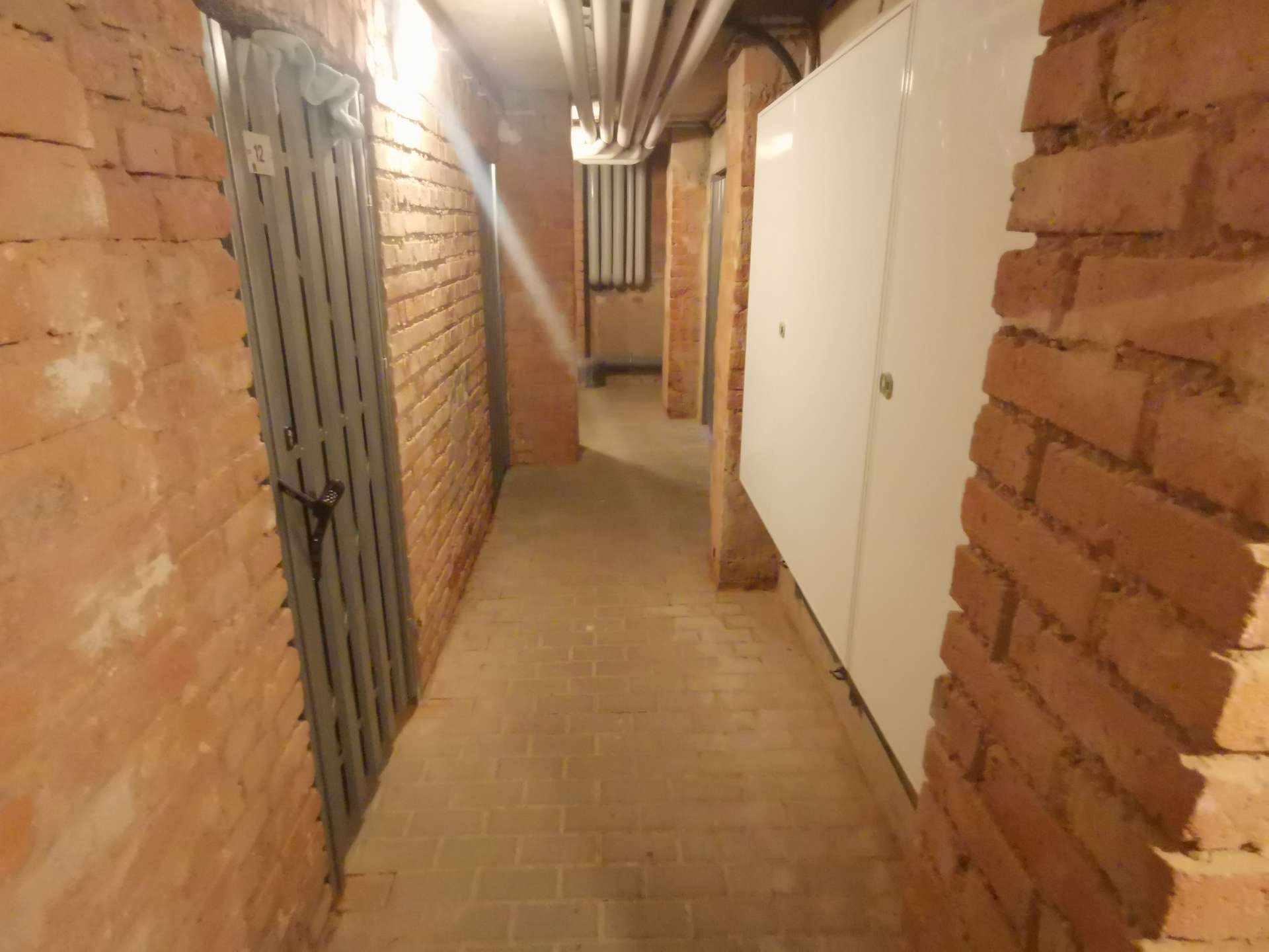 Aufgeräumter Kellerbereich