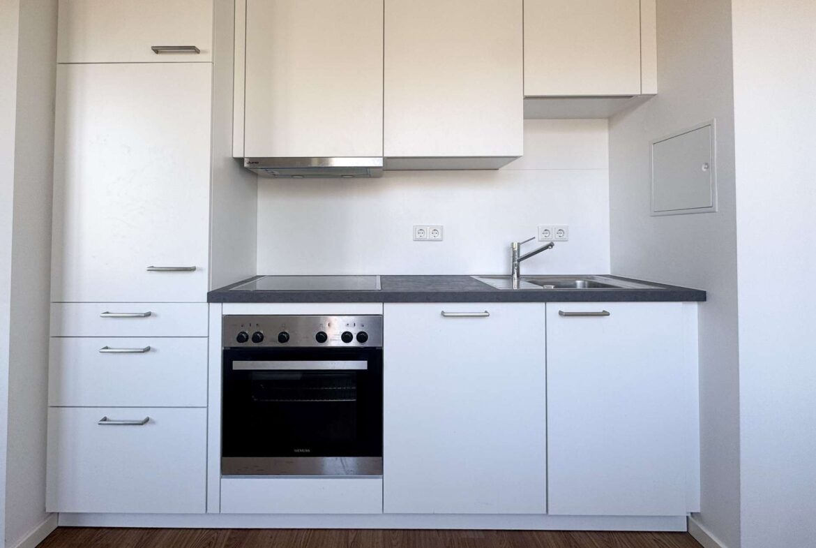 Moderne Einbauküche