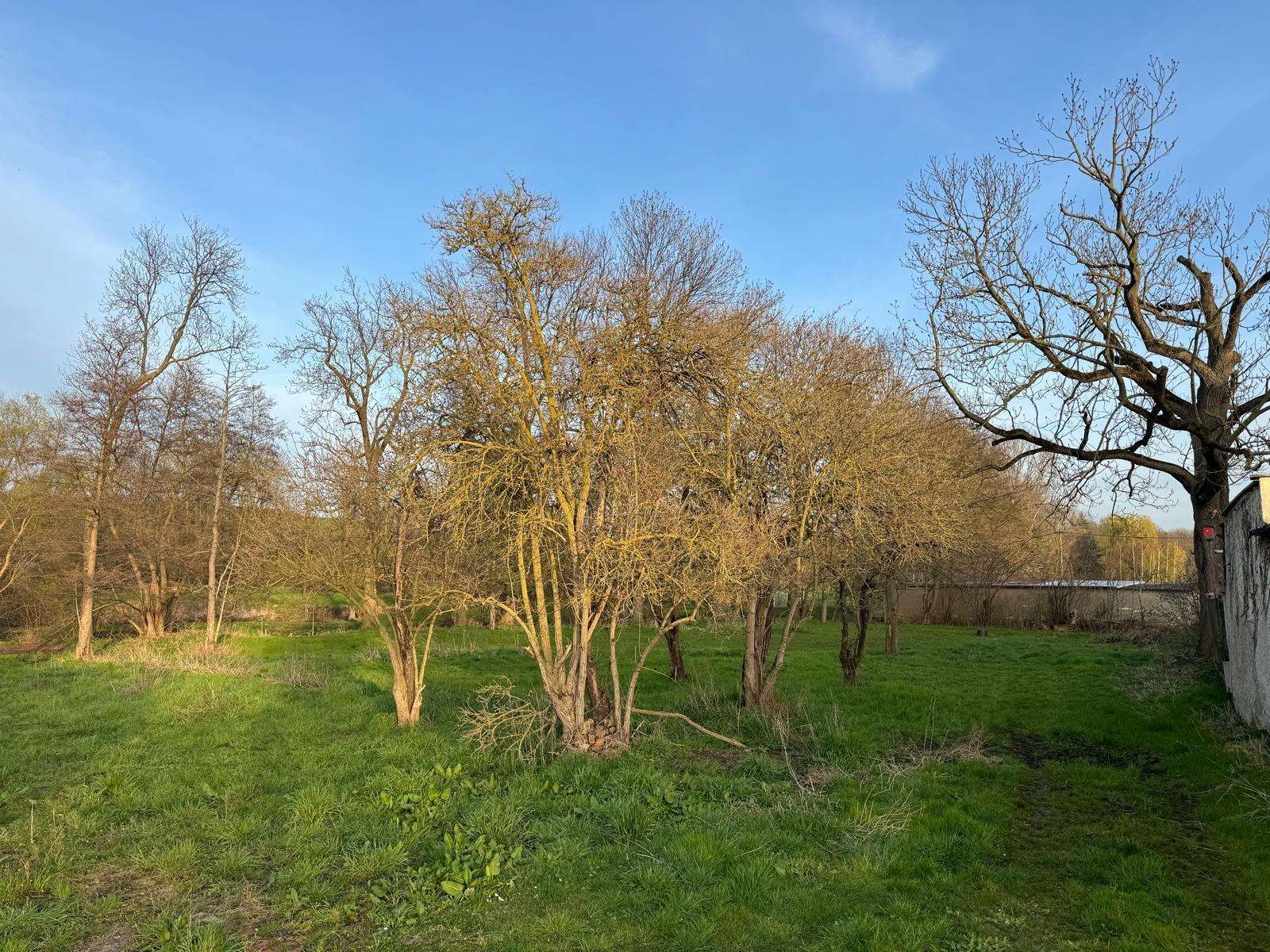 Hier könnte Ihr Zuhause sein