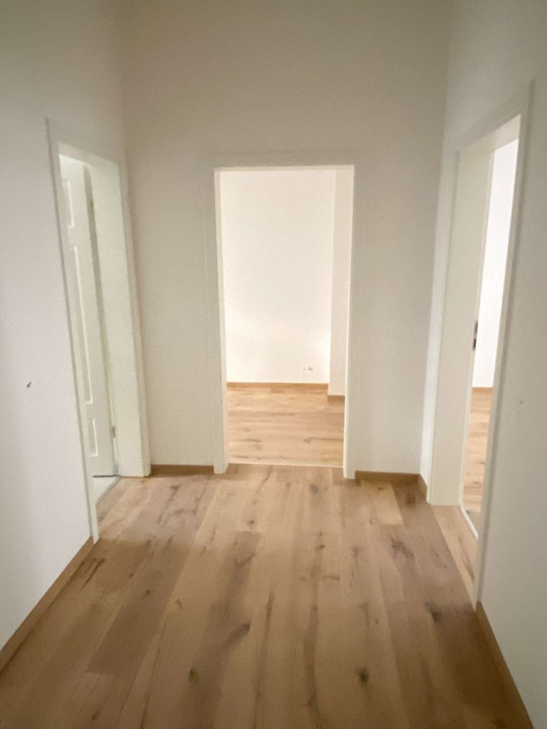 Blick vom Eingang in den Flur