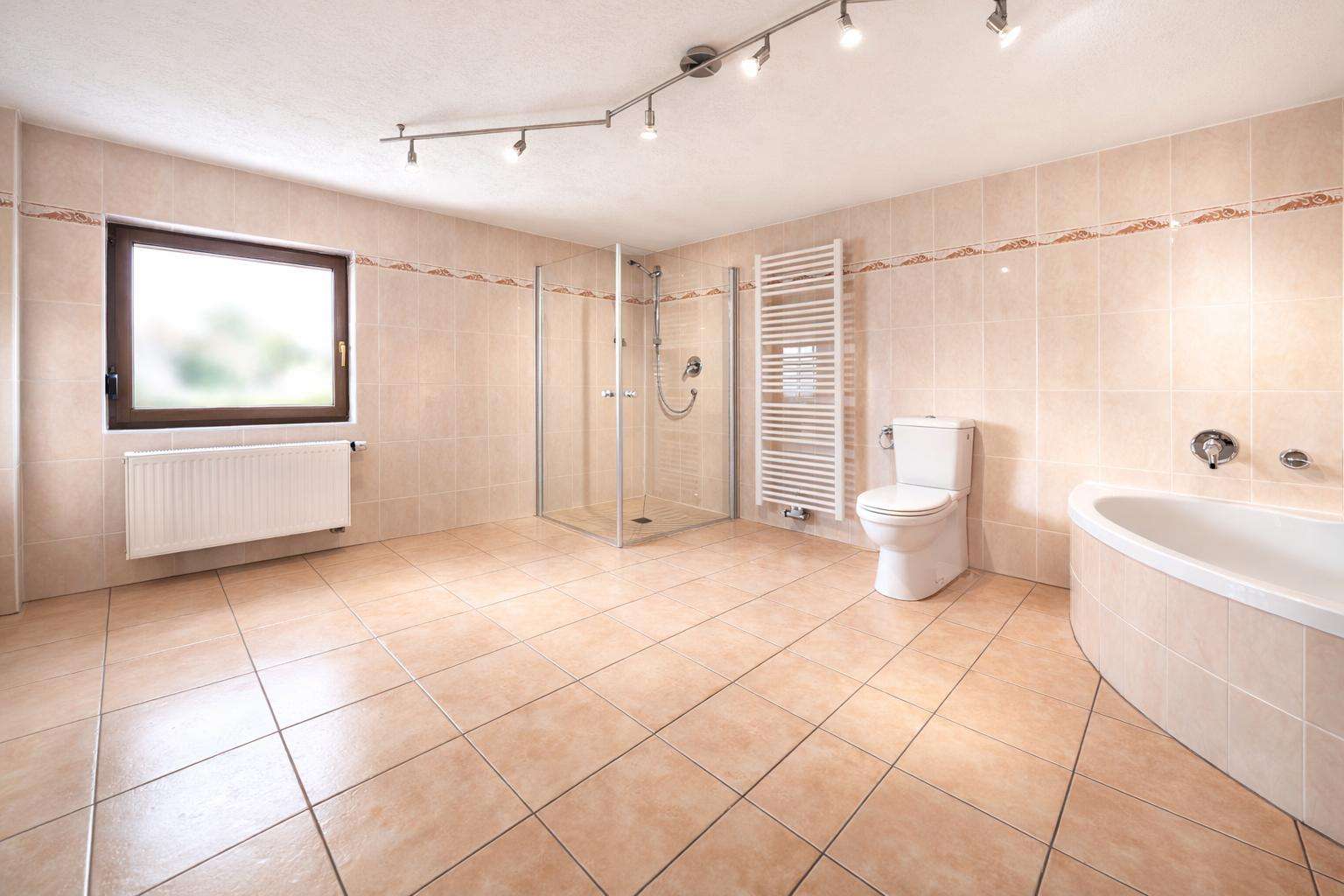 EG Großzügiges Badezimmer