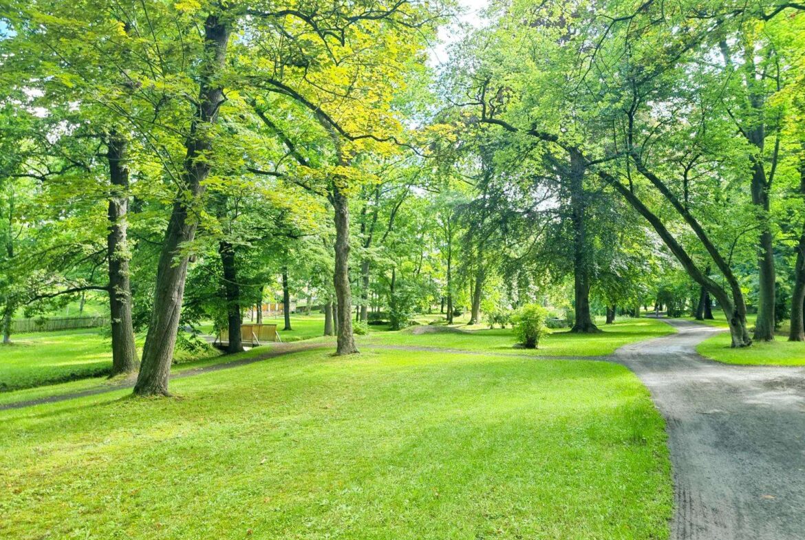 Angrenzender Stadtpark