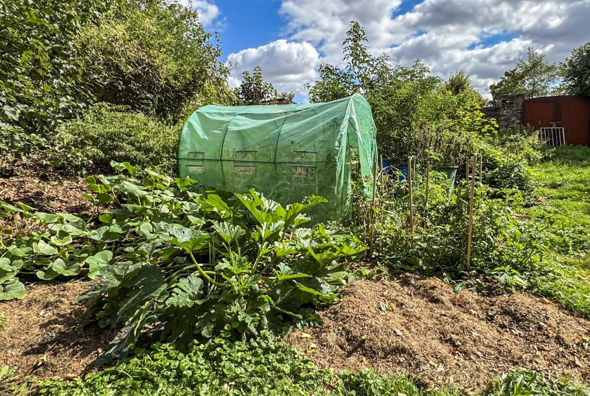 Gewächshaus und Gemüsebeet zur Selbstversorgung
