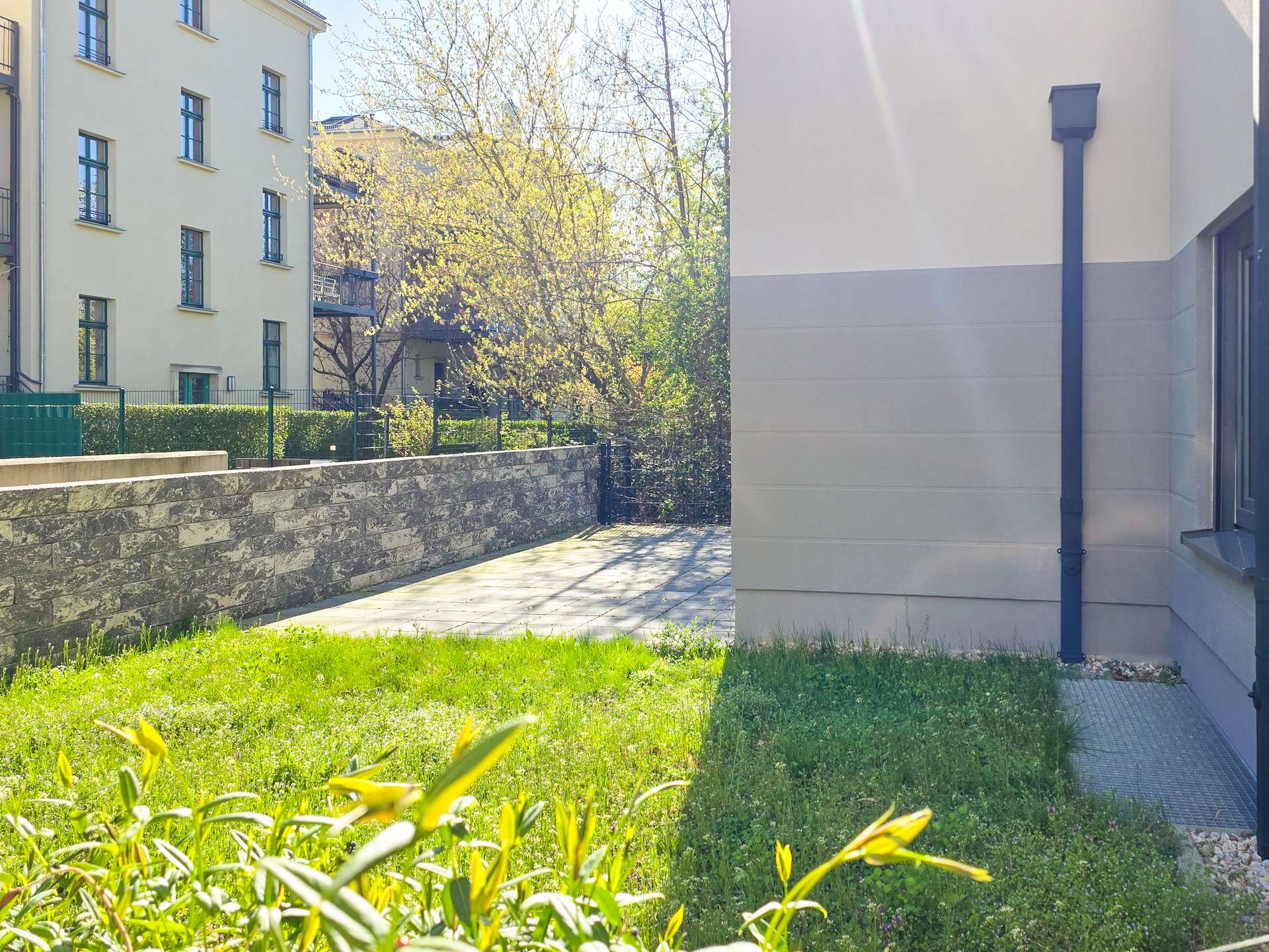 Courtyard scene with beige residential building on the left, stone wall and green hedge, sunlit trees in the center, and a pale building with a downspout on the right.