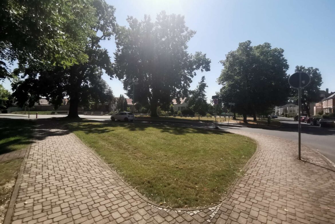 Sunlit urban park with large trees, a cobblestone walkway, and parked cars along the street under a clear blue sky