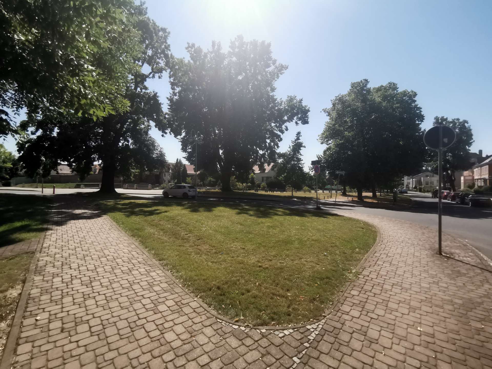 Sunlit urban park with large trees, a cobblestone walkway, and parked cars along the street under a clear blue sky
