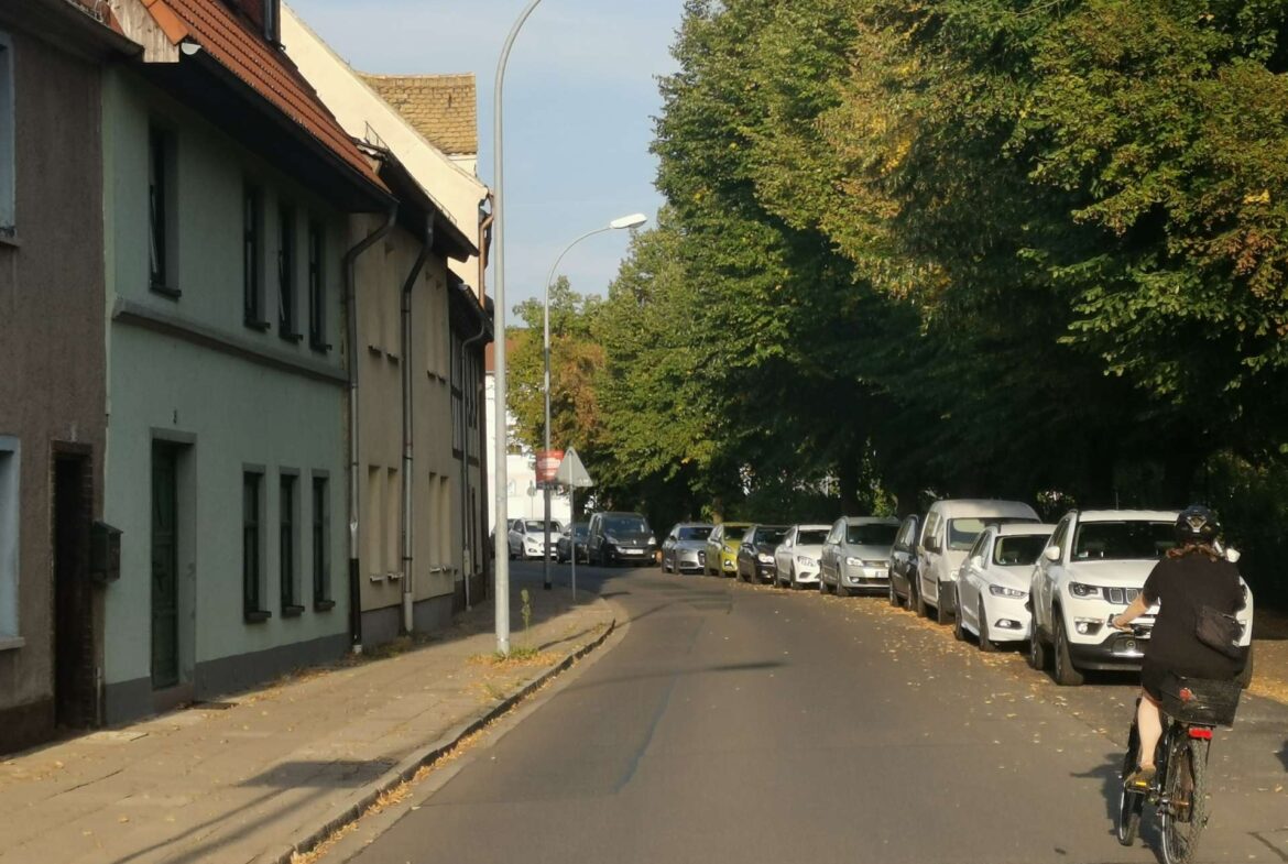Street scene with row of houses on the left, lined with parked cars along the curb and a cyclist in the foreground to the right. The road is tree-shaded.