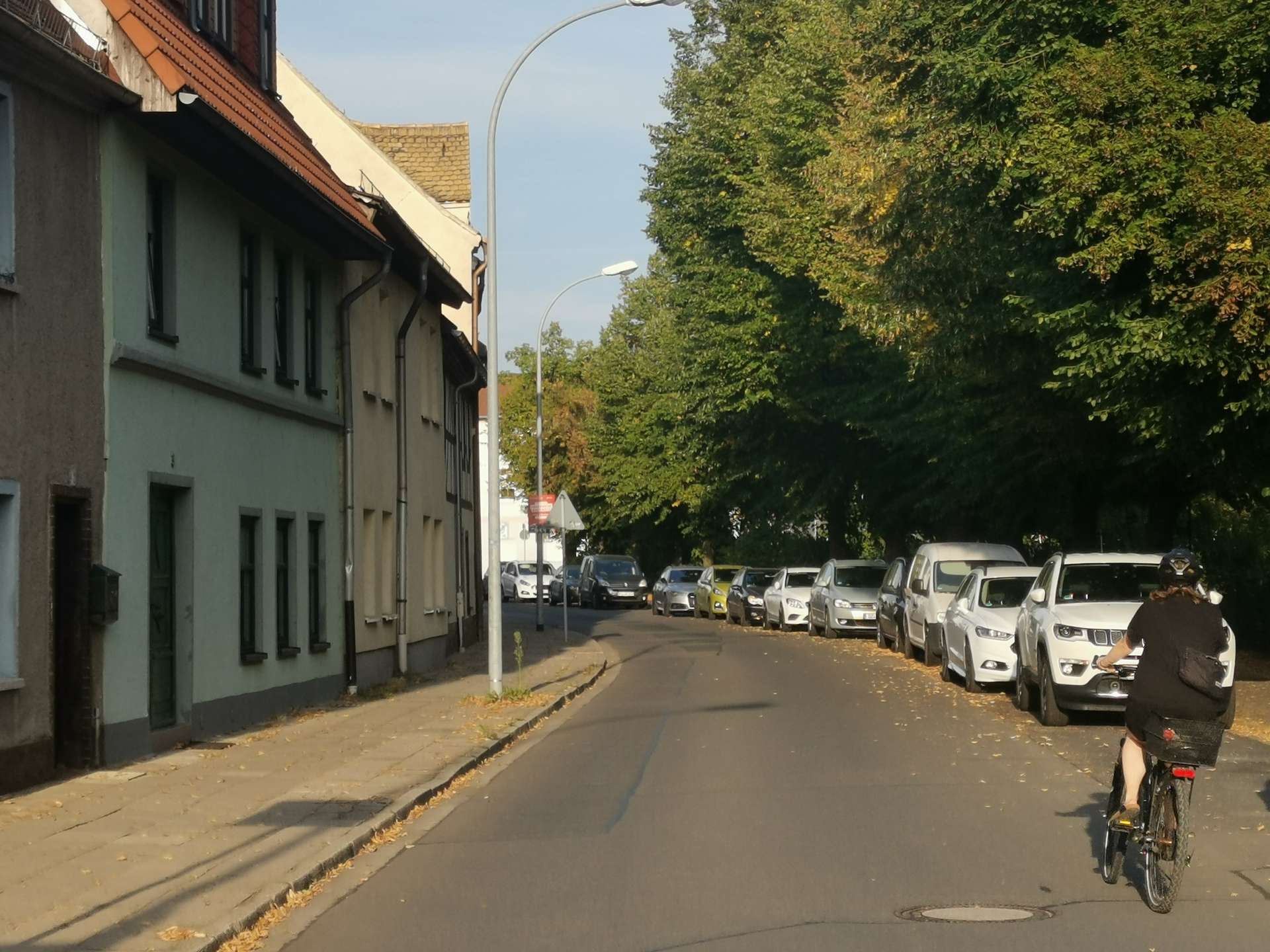Street scene with row of houses on the left, lined with parked cars along the curb and a cyclist in the foreground to the right. The road is tree-shaded.