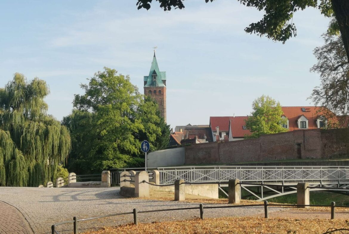 Brick church tower with a green copper roof peeking above trees along a cobblestone street.