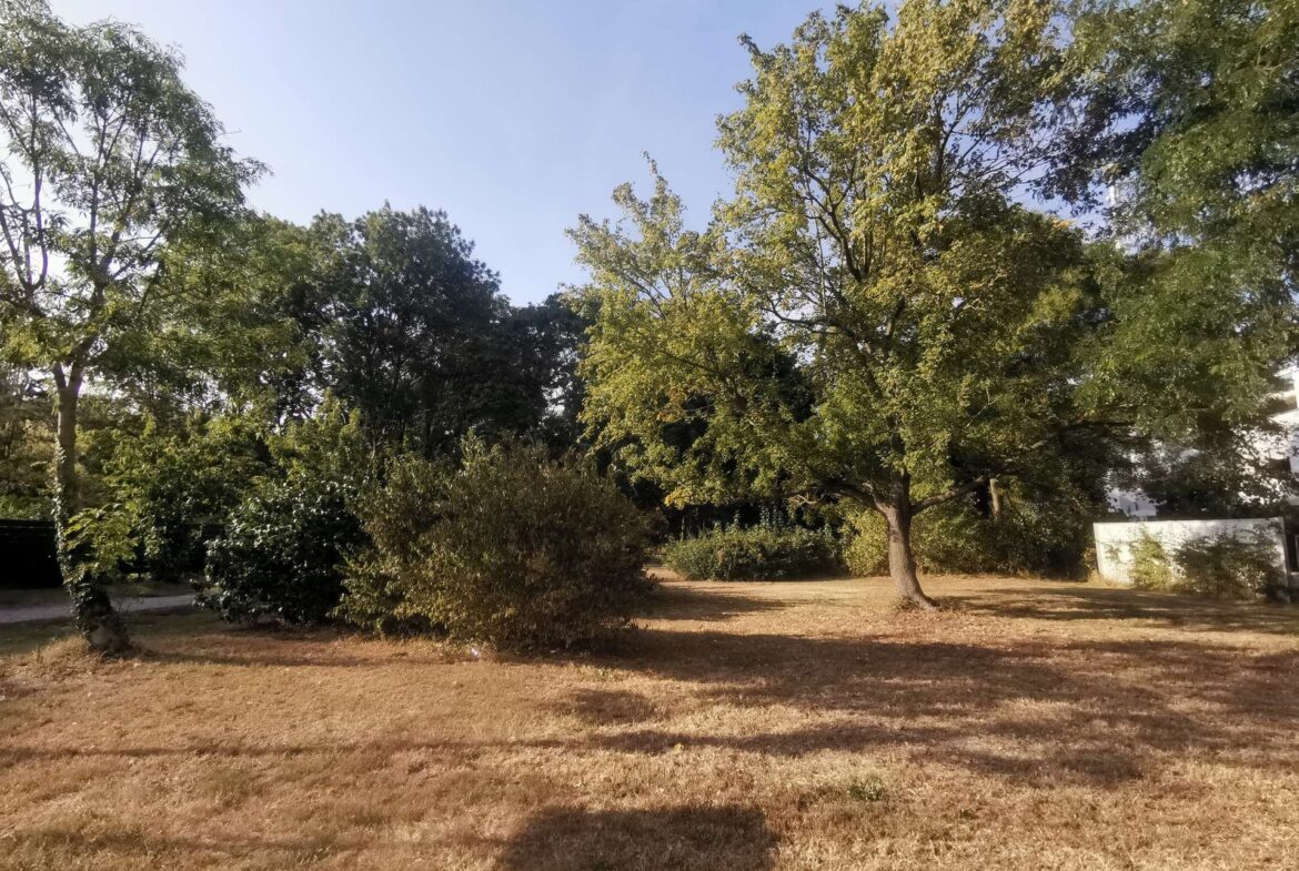 Sunlit park with several trees and brown dry grass under a clear blue sky.