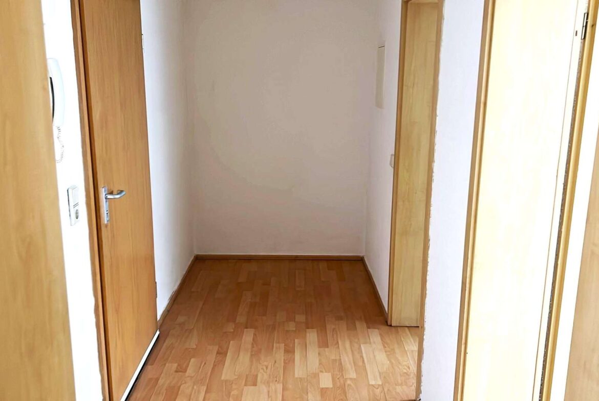 Narrow hallway with wooden doors on both sides and light hardwood floor, ending in a blank white wall.