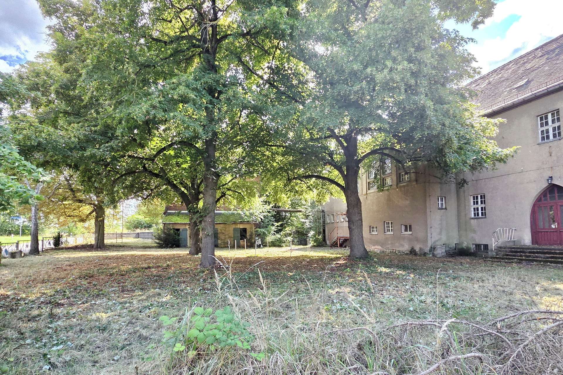 Shade trees fill a courtyard next to a beige building with a red arched door and many windows, sunlight peeking through leaves.