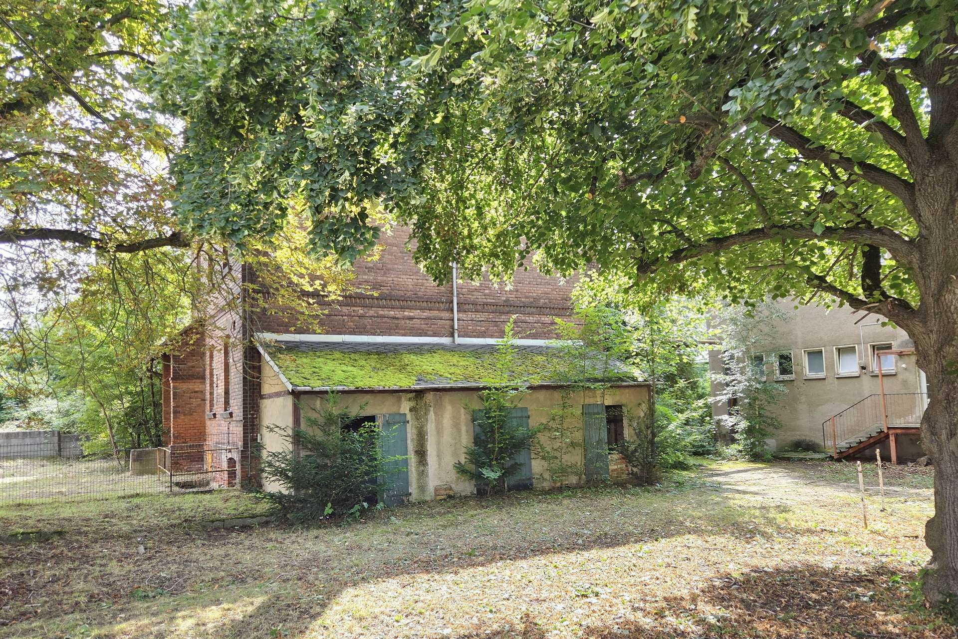 Abandoned brick building shaded by dense tree canopy with ivy on the roof and a small yard in front.