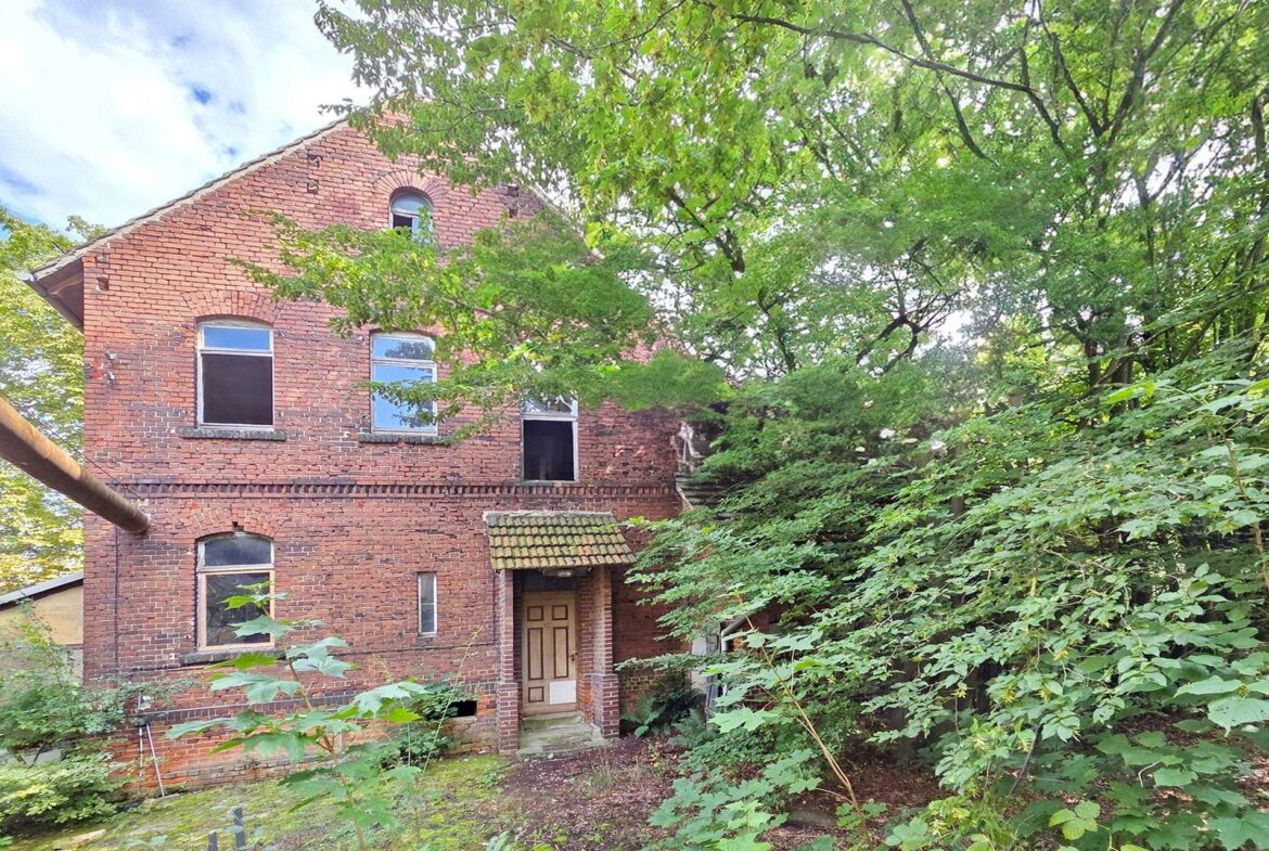 Abandoned brick two‑story house hidden by dense trees and greenery.