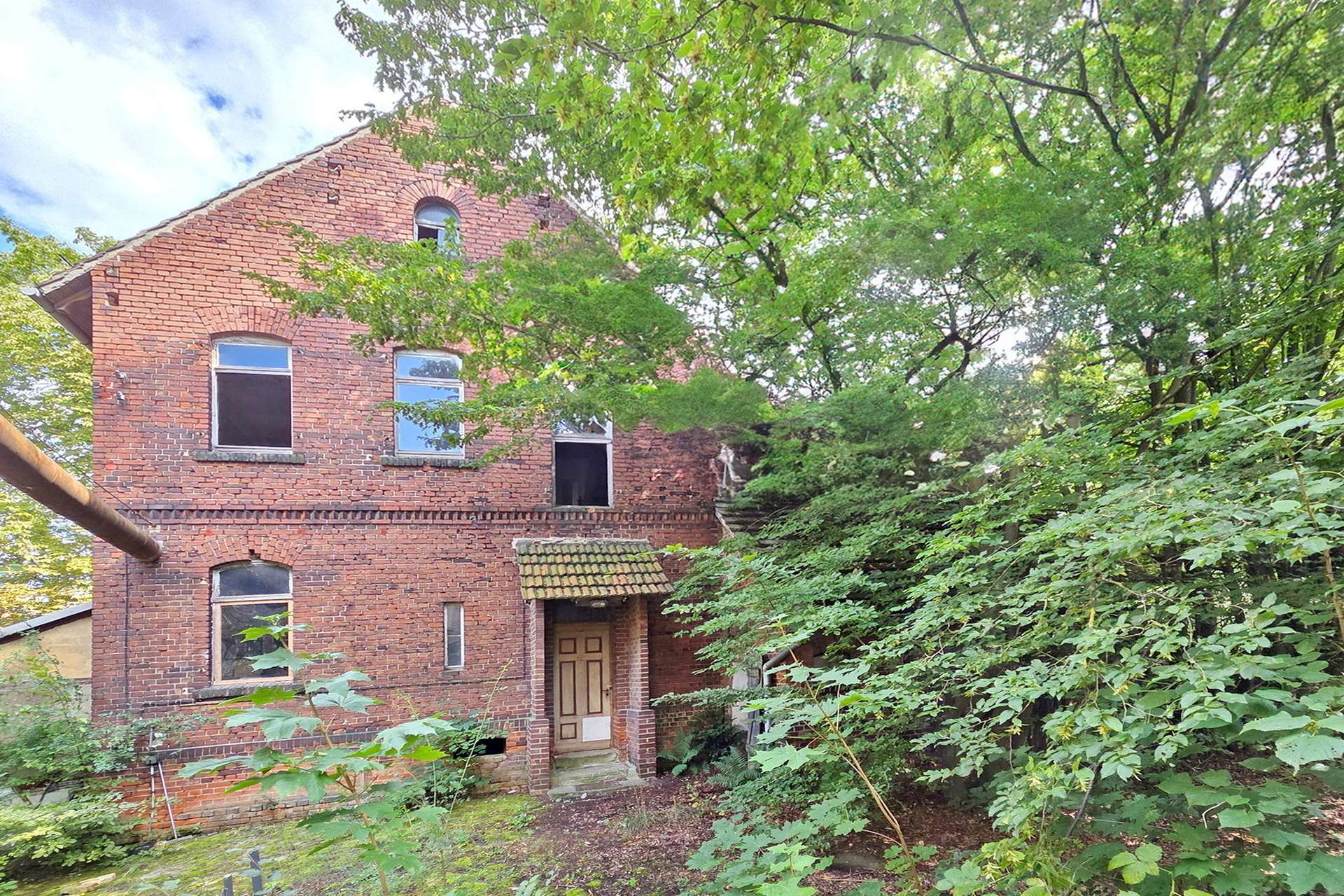 Abandoned brick two‑story house hidden by dense trees and greenery.